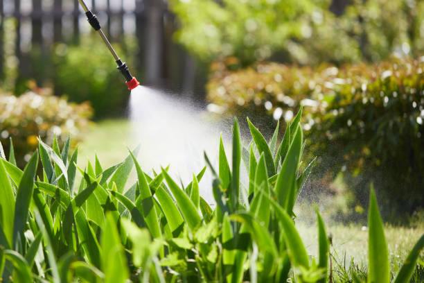 24/7 Emergency Wasp Removal experts in Athens, IL