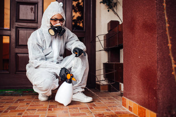 Reliable Wasp Removal contractor in Athens, IL by Show Me Pest Control